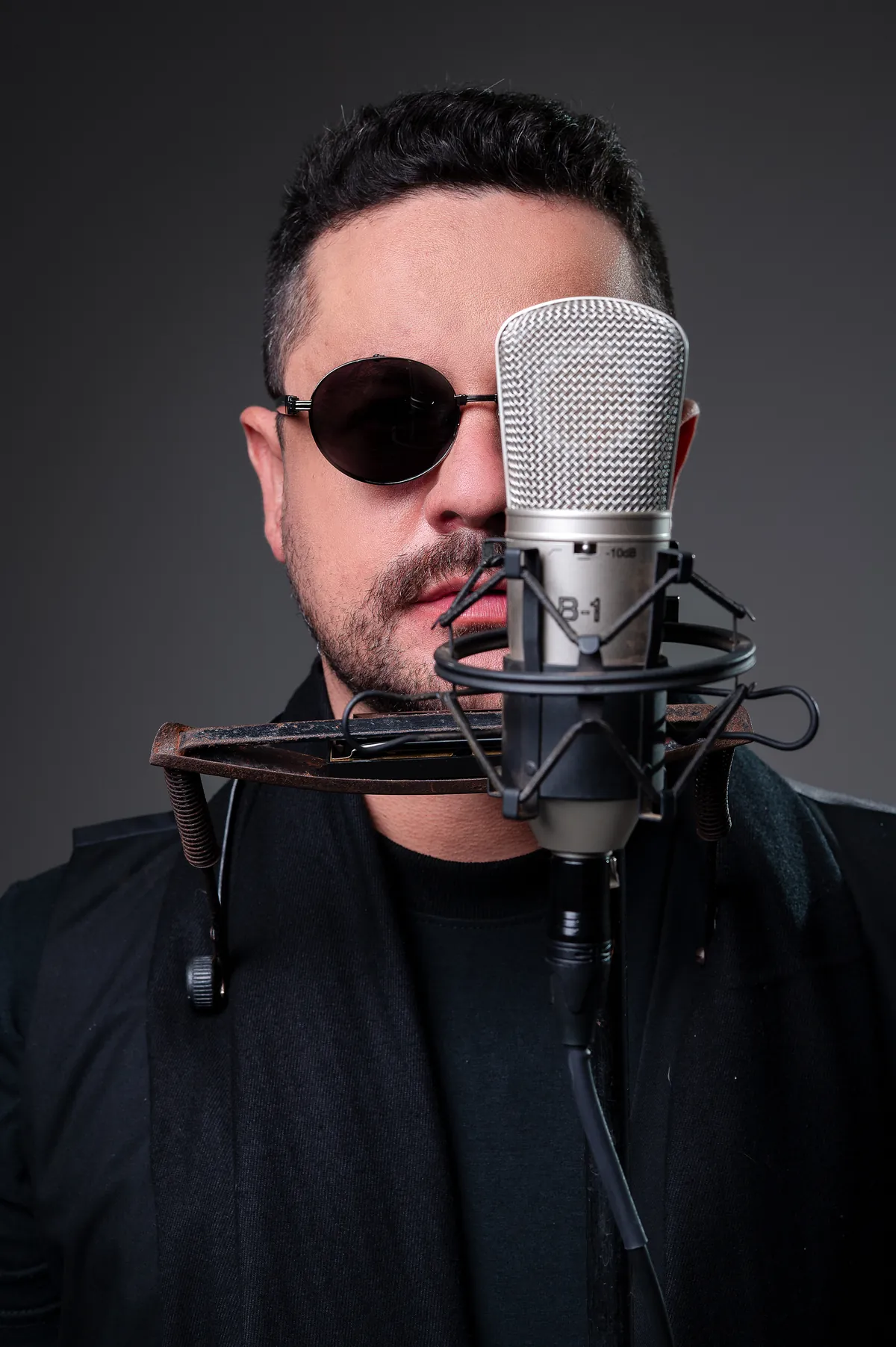 Roy atrás do microfone, com a gaita presa no suporte